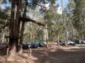 0104-1616 Treetop park (1070450)